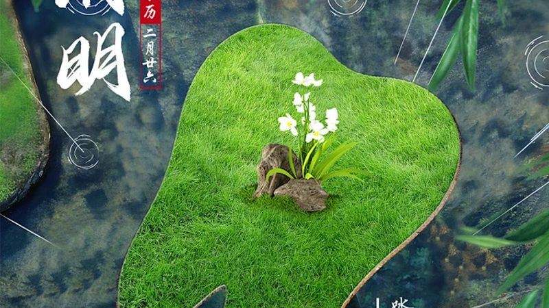种植牙与烤瓷牙：磨牙需求大揭秘**